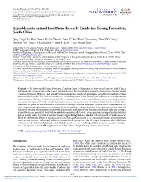 A Problematic Animal Fossil from the Early Cambrian Hetang Formation, South China