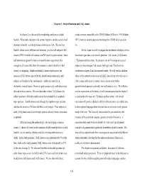 Chapter 5. Subject Omission and [-SA] Clauses