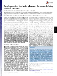 Development of the Turtle Plastron, the Order-Defining Skeletal Structure