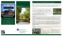 DRAFT 2019 System Brochure.Cdr