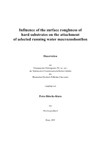 Influence of the Surface Roughness of Hard Substrates on the Attachment of Selected Running Water Macrozoobenthos