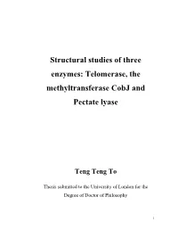 Structural Studies of Three Enzymes: Telomerase, the Methyltransferase Cobj and Pectate Lyase