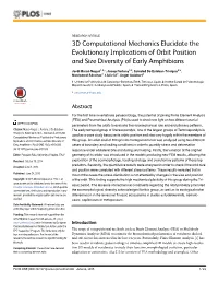 3D Computational Mechanics Elucidate the Evolutionary Implications of Orbit Position and Size Diversity of Early Amphibians