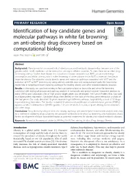 Identification of Key Candidate Genes and Molecular Pathways in White Fat