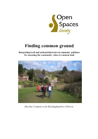 Finding Common Ground