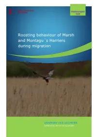 Roosting Behaviour of Marsh and Montagu´S Harriers During Migration