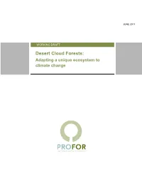 Desert Cloud Forests: Adapting a Unique Ecosystem to Climate Change