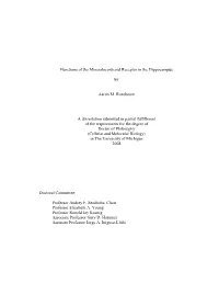 Functions of the Mineralocorticoid Receptor in the Hippocampus By