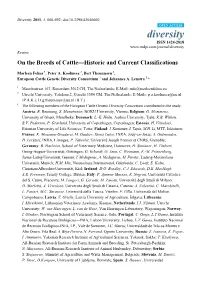 On the Breeds of Cattle—Historic and Current Classifications