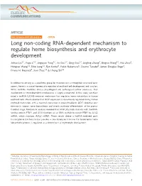 Long Non-Coding RNA-Dependent Mechanism to Regulate Heme Biosynthesis and Erythrocyte Development