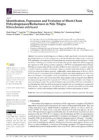Identification, Expression and Evolution of Short-Chain Dehydrogenases/Reductases in Nile Tilapia (Oreochromis Niloticus)