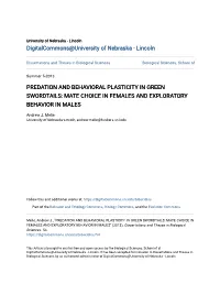 Predation and Behavioral Plasticity in Green Swordtails: Mate Choice in Females and Exploratory Behavior in Males