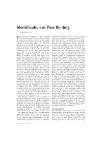 Identification of Pine Bunting T