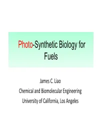Next Generation Biofuels