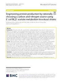 Engineering Protein Production by Rationally Choosing a Carbon and Nitrogen Source Using E