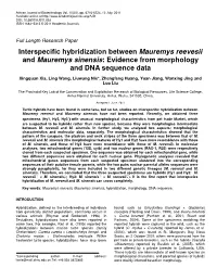 Interspecific Hybridization Between Mauremys Reevesii and Mauremys Sinensis : Evidence from Morphology and DNA Sequence Data