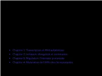 L2-Transcription.Pdf