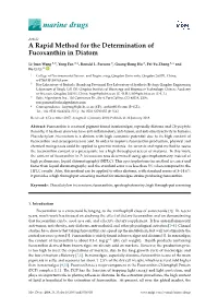 A Rapid Method for the Determination of Fucoxanthin in Diatom