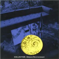 COLLECTOR: Object/Environment