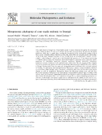 Mitogenomic Phylogeny of Cone Snails Endemic to Senegal Molecular Phylogenetics and Evolution