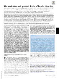The Evolution and Genomic Basis of Beetle Diversity