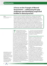 A Focus on the Triangle of Wound Assessment — Addressing the Gap Challenge and Identifying Suspected Biofilm in Clinical Practice