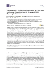 A Private 16Q24.2Q24.3 Microduplication in a Boy with Intellectual Disability, Speech Delay and Mild Dysmorphic Features