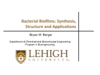 Bacterial Biofilms: Synthesis, Structure and Applica(Ons