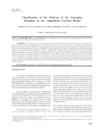 Classification of the Patterns of the Emerging Branches of the Superficial Cervical Plexus