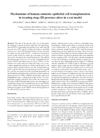 Mechanisms of Human Amniotic Epithelial Cell Transplantation in Treating Stage III Pressure Ulcer in a Rat Model