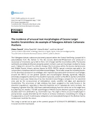 The Incidence of Unusual Test Morphologies of Eocene Larger Benthic Foraminifera: an Example of Paleogene Adriatic Carbonate Platform