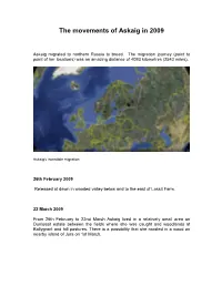The Movements of Askaig in 2009