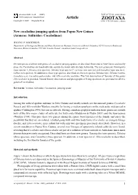 Zootaxa, New Cocalodine Jumping Spiders From