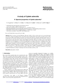 II. Spectral Properties of Cybele Asteroids
