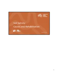 Soil Salinity: Causes and Rehabilitation