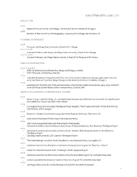 Kim Stringfellow CV