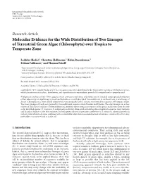 Molecular Evidence for the Wide Distribution of Two Lineages of Terrestrial Green Algae (Chlorophyta) Over Tropics to Temperate Zone