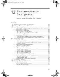 12 Electroreception and Electrogenesis