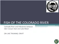FISH of the COLORADO RIVER Colorado River and Tributaries Between Glen Canyon Dam and Lake Mead