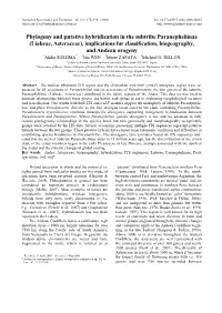 Phylogeny and Putative Hybridization in the Subtribe Paranepheliinae