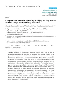 Computational Protein Engineering: Bridging the Gap Between Rational Design and Laboratory Evolution