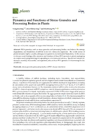 Dynamics and Functions of Stress Granules and Processing Bodies in Plants