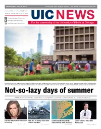 Not-So-Lazy Days of Summer