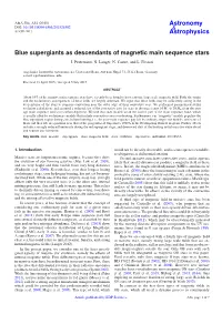 Blue Supergiants As Descendants of Magnetic Main Sequence Stars