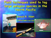 Field Techniques Used to Tag Large Pelagic Species In
