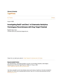 Investigating Rad51 and Dmc1 in Entamoeba Histolytica: Homologous Recombinases with Drug Target Potential