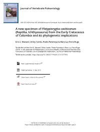 A New Specimen of Platypterygius Sachicarum (Reptilia, Ichthyosauria) from the Early Cretaceous of Colombia and Its Phylogenetic Implications