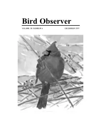 Bird Observer