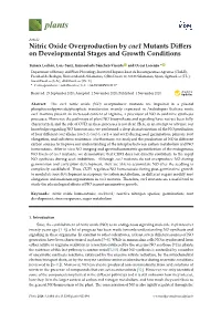Nitric Oxide Overproduction by Cue1 Mutants Differs on Developmental