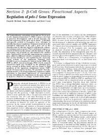 Section 2: ß-Cell Genes: Functional Aspects